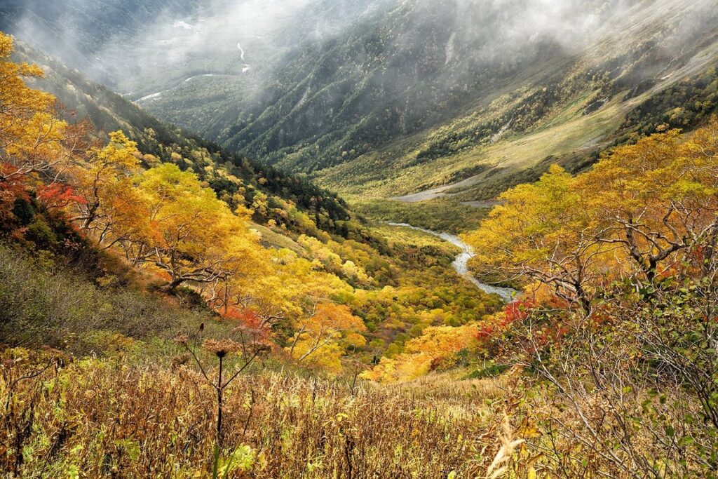 permaculture zones