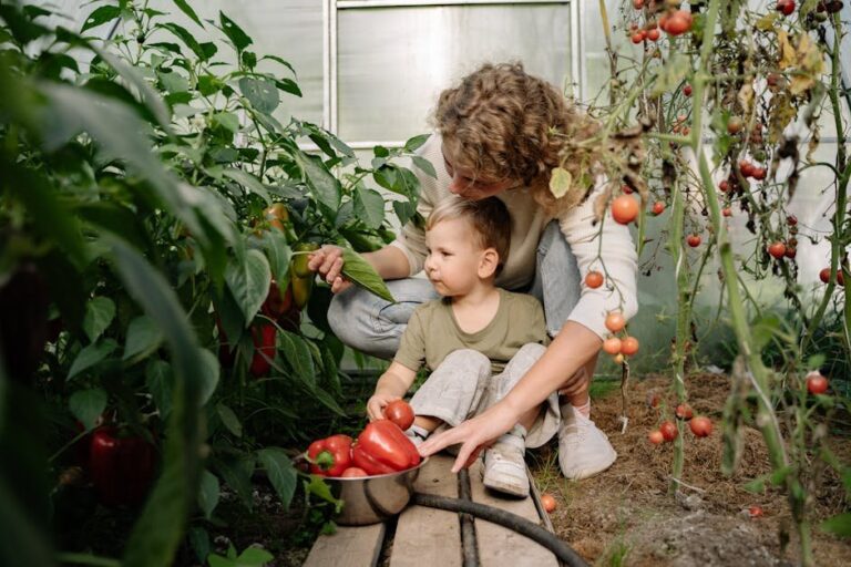 homestead life and plant care