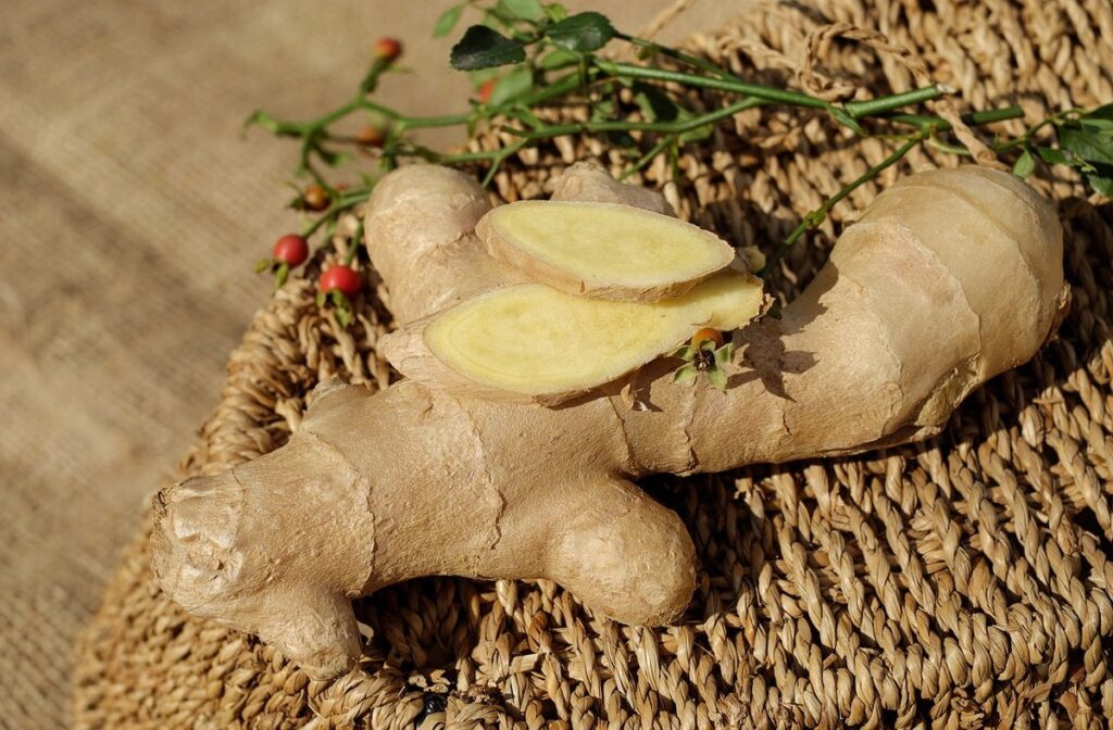 Plant cutting roots