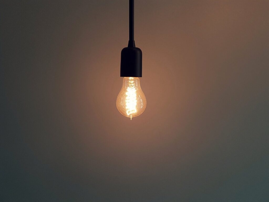 plant pendant light