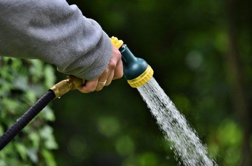 plant watering schedule