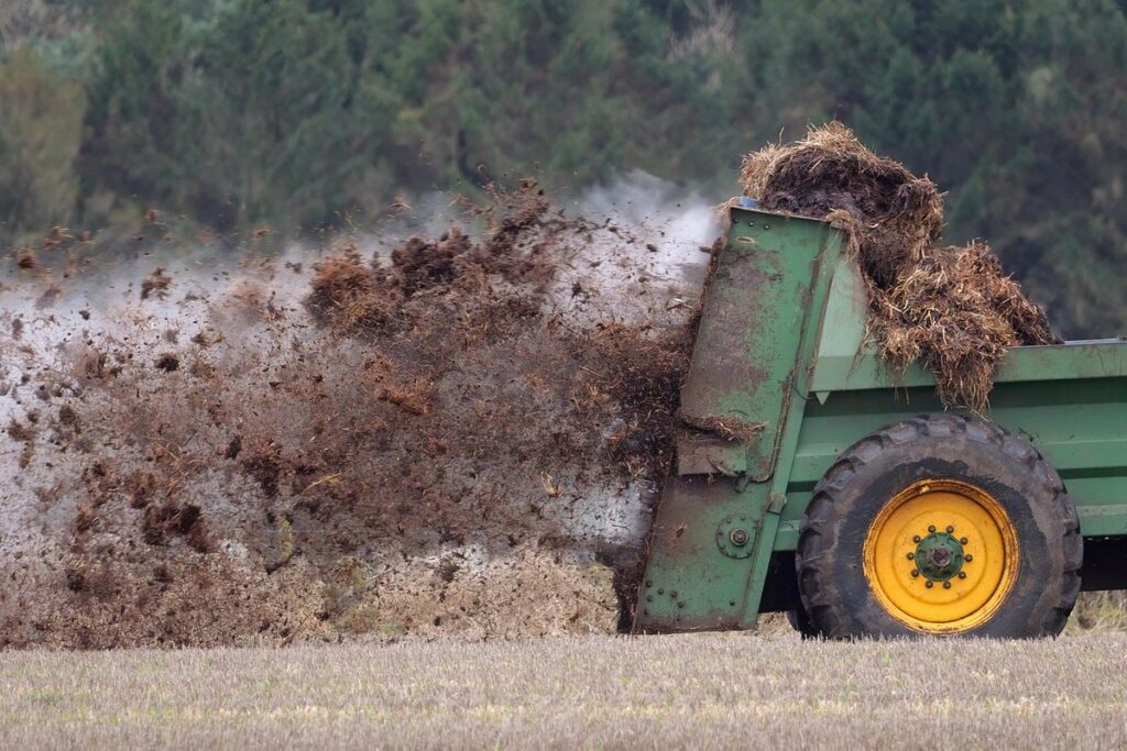 poultry manure uses
