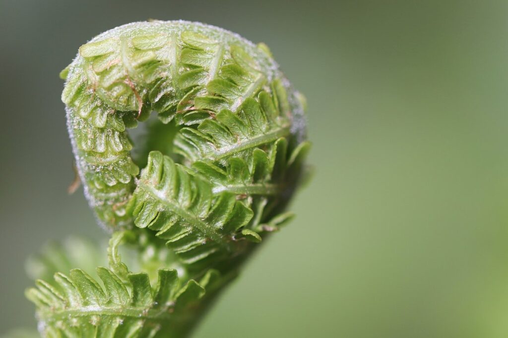practical tips for urban gardeners
