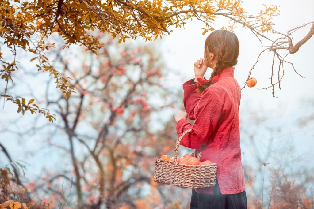 pruning persimmon trees