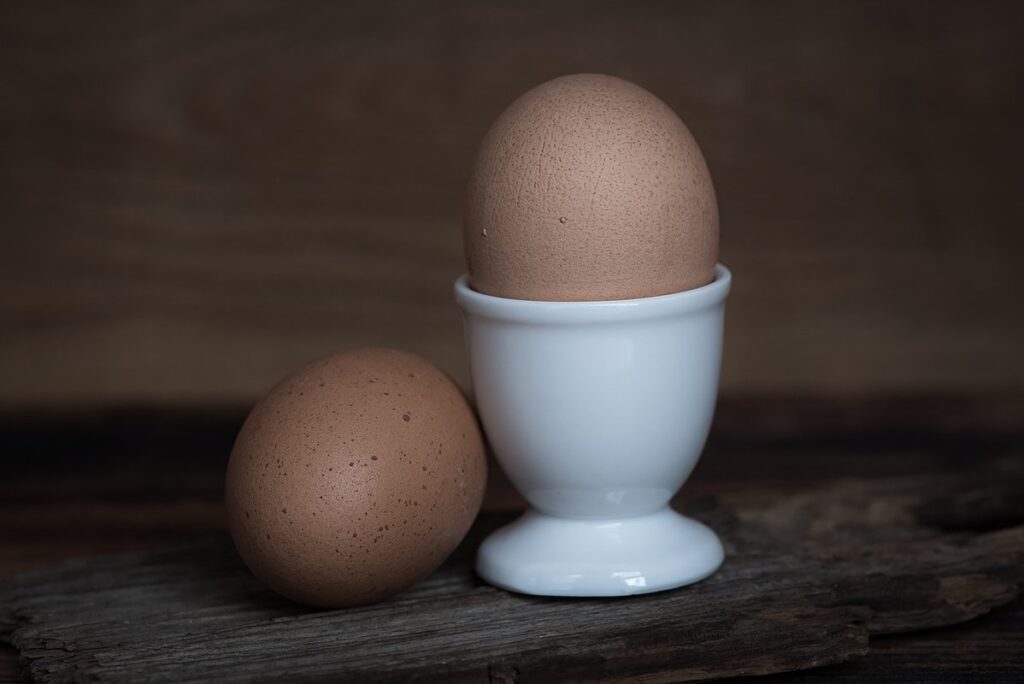fresh farm eggs refrigeration for garden produce