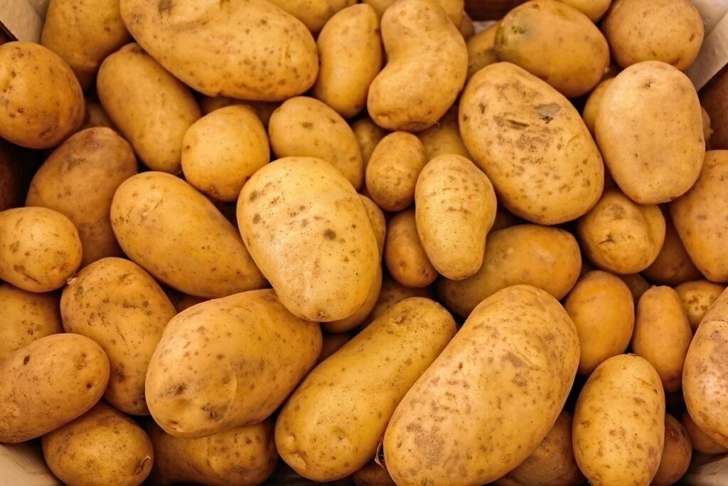 rooting vegetables