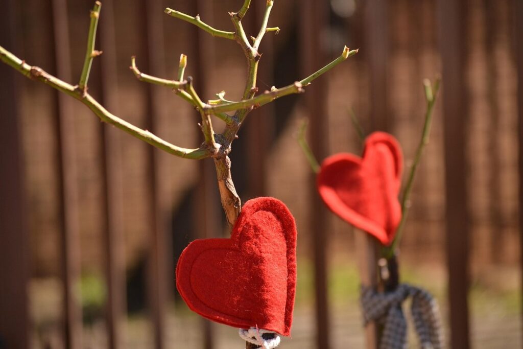 pruning roses in the pacific northwest