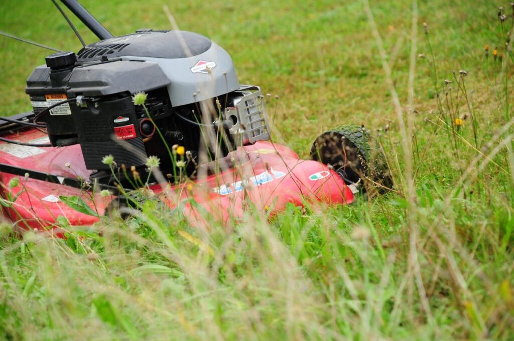 sheet mulch to kill grass