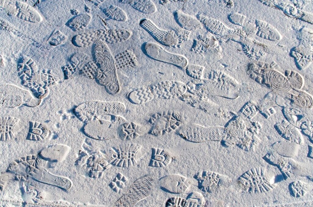 snow footprints in garden areas
