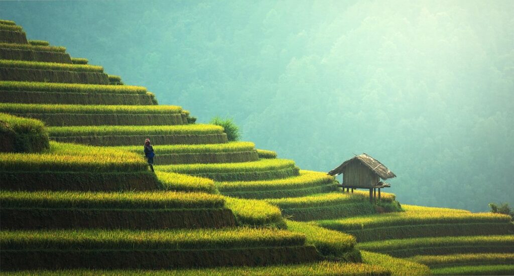 sustainable gardening practices