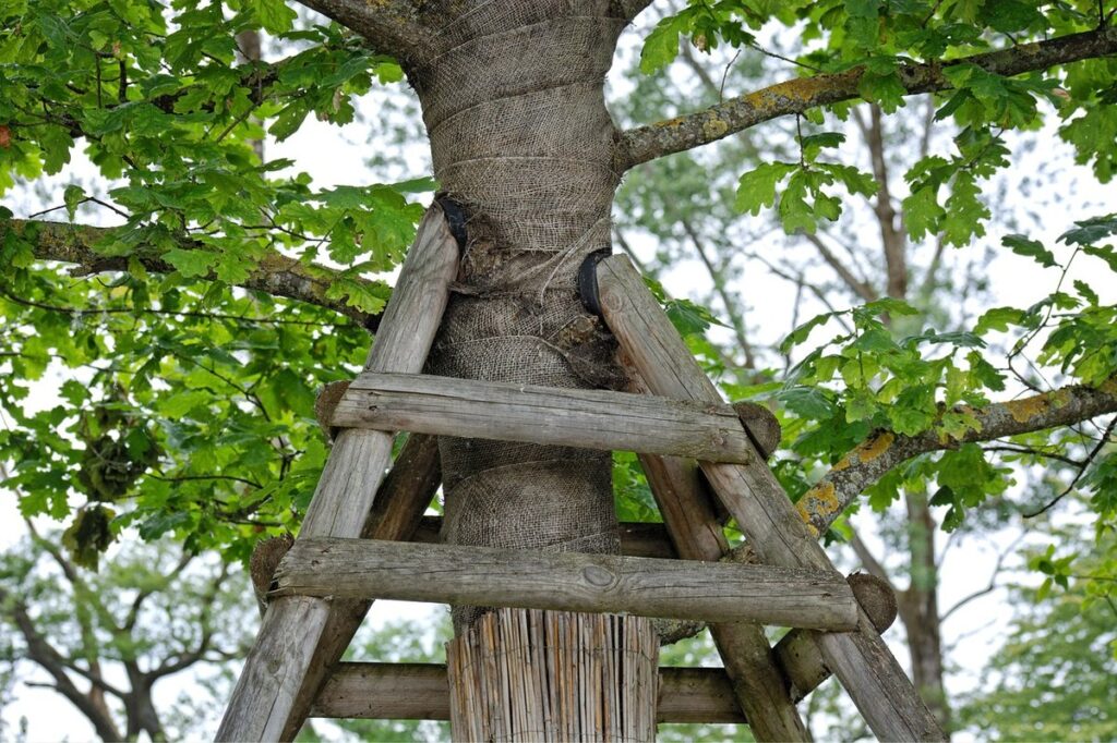 Tree Support