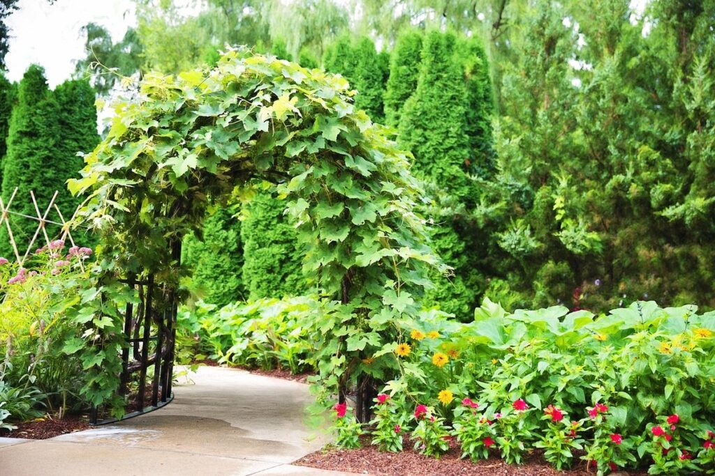 gardening trellis