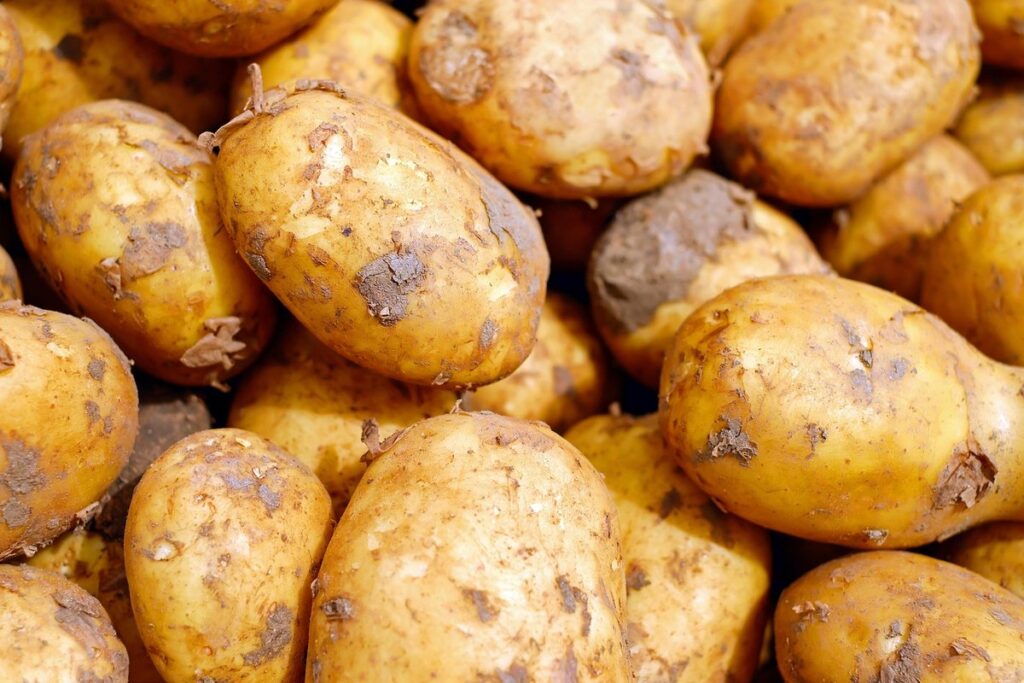 tuber vegetables