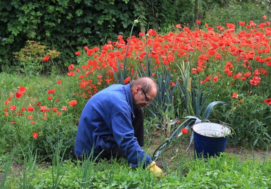 weeding definition in gardening