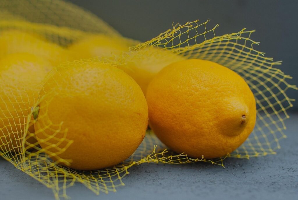 bird netting for gardens
