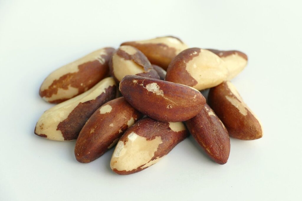 brazil nuts other name