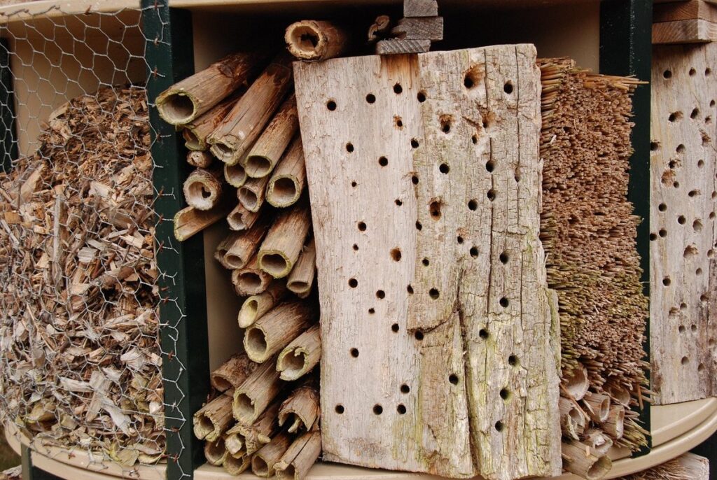 how to build a bug hotel for your garden