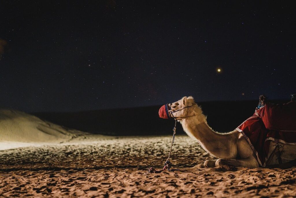 camel thorn weed control