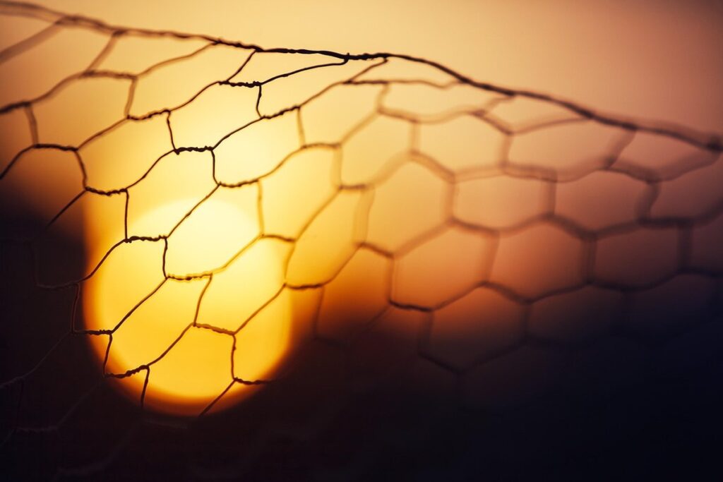 chicken wire cloche