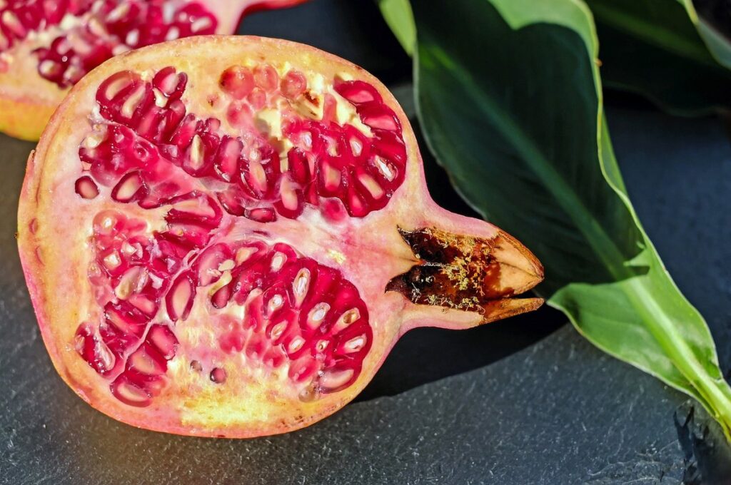 can chickens eat pomegranate