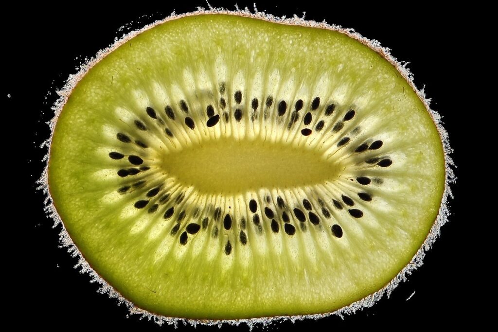 kiwi fruit flower