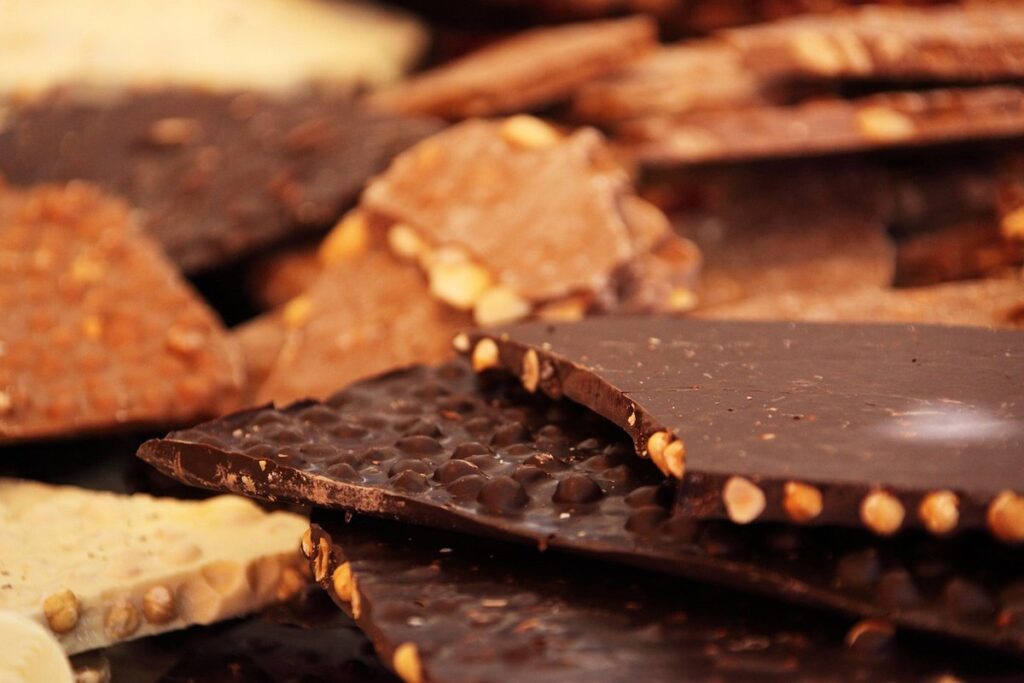 how to grow chocolate plant