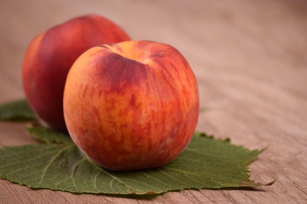 curly leaf nectarine