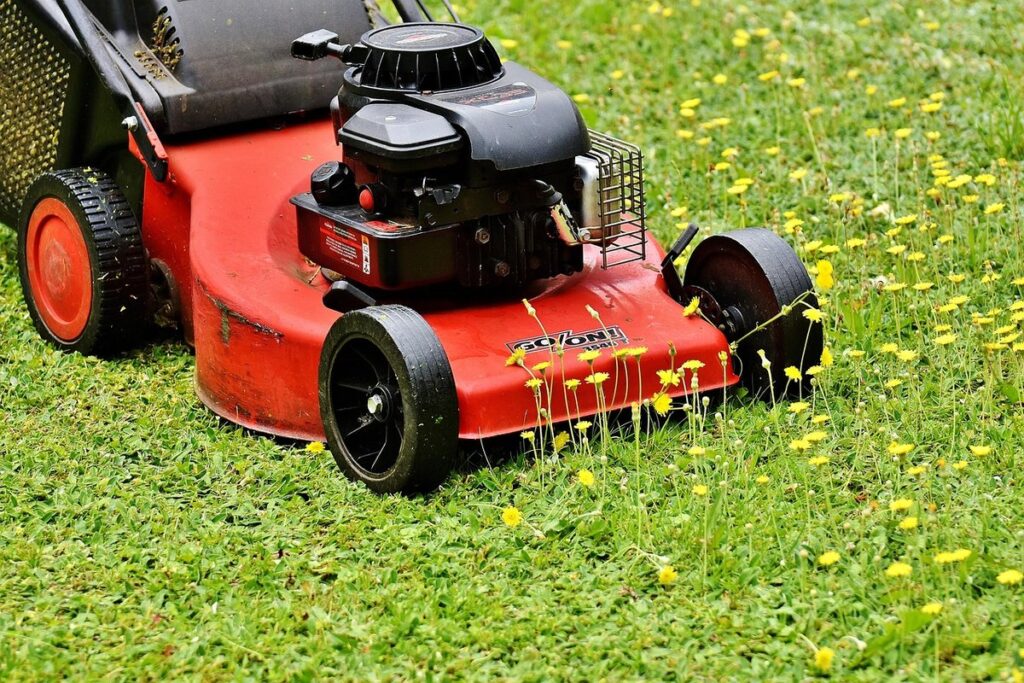 effects of cutting grass too low in gardens