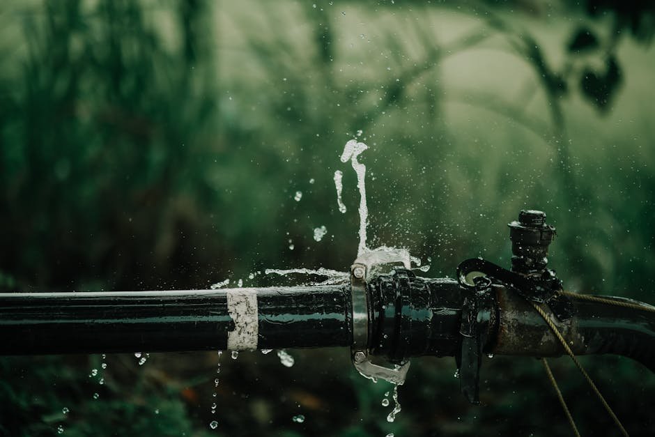 Drip irrigation system -> drip irrigation