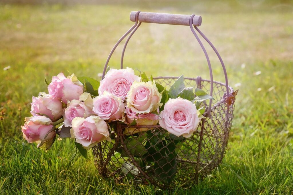 garden basket