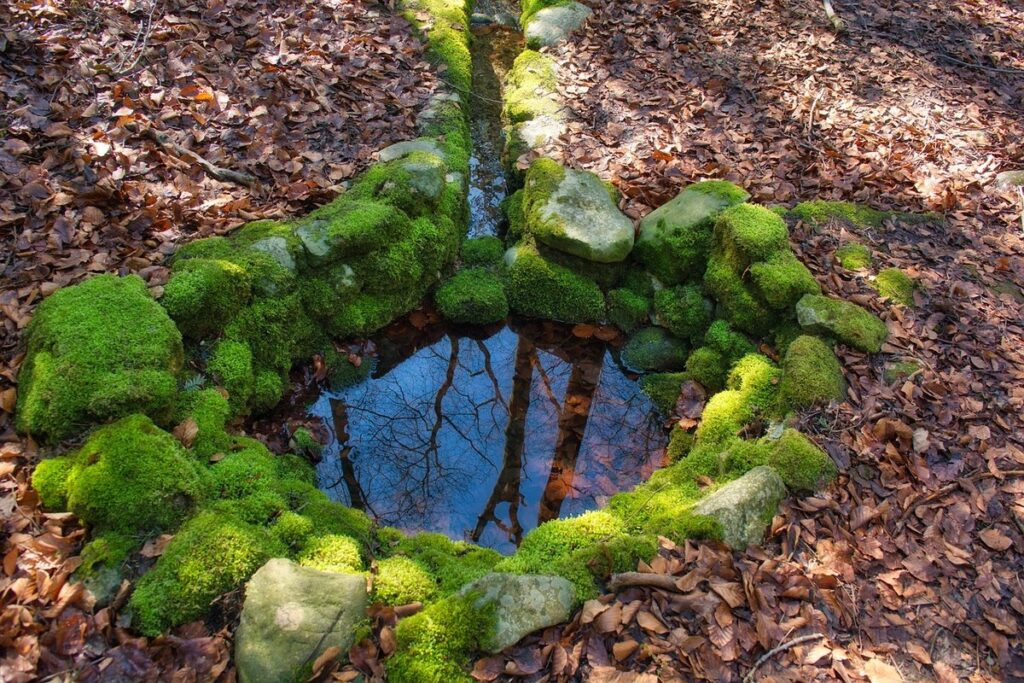 border edging ideas for gardens