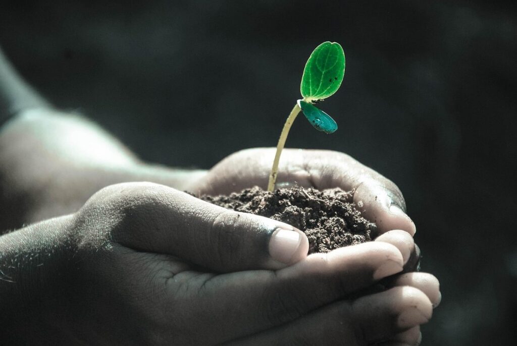 how to begin gardening