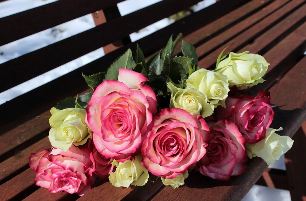 gardening gifts