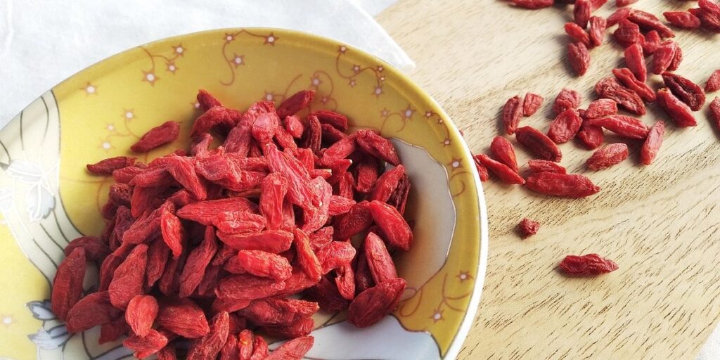 goji berries plants
