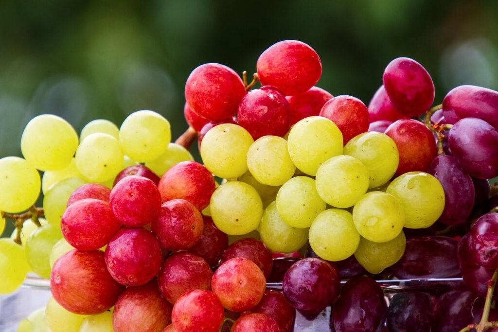 grapes with black spots
