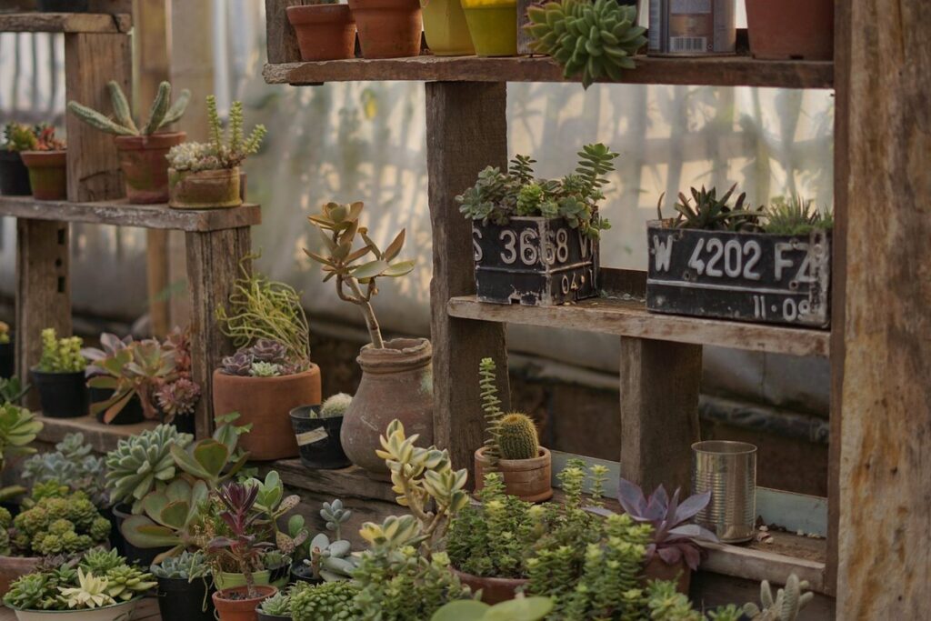 greenhouse interior ideas