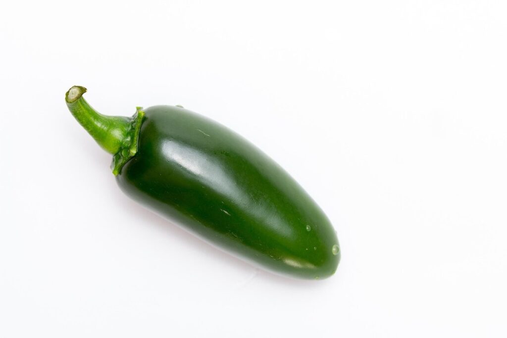growing jalapeno chillies