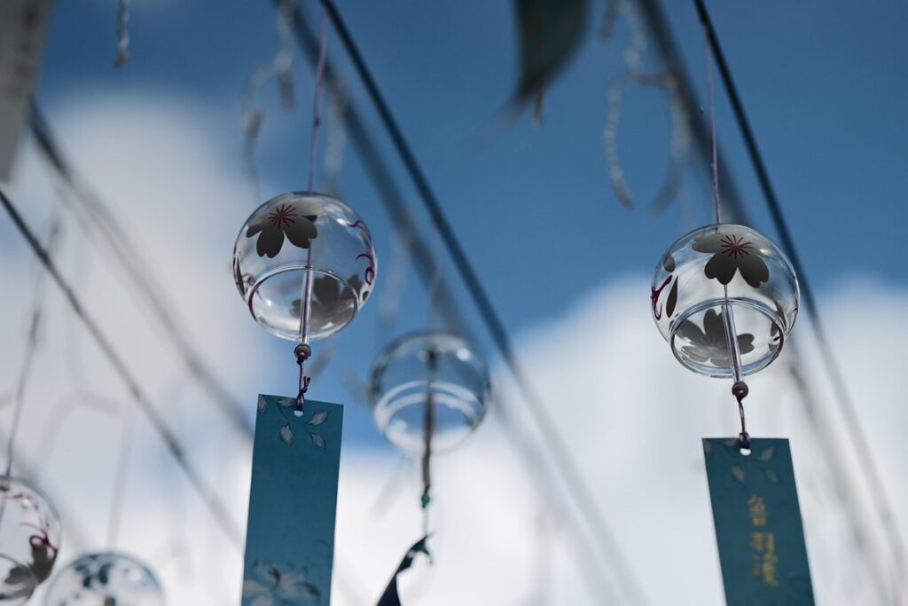 hanging orchids outdoors
