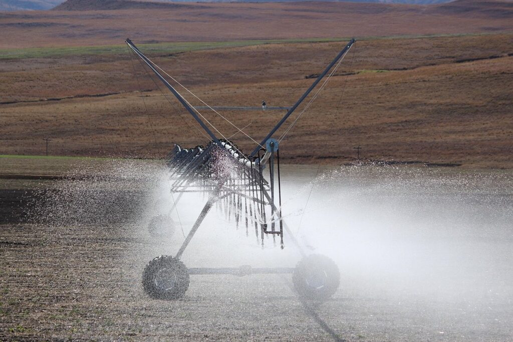 irrigation salinity