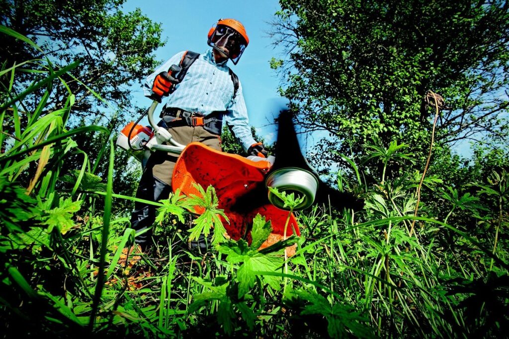 garden maintenance