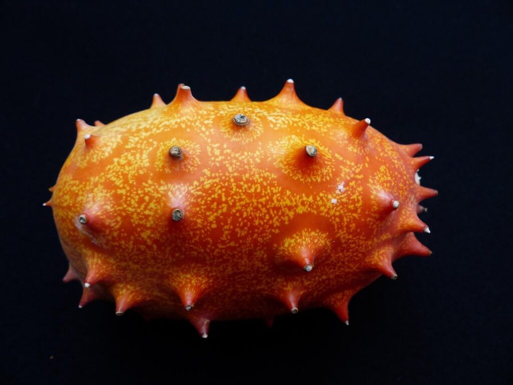 what is kiwano melon gardening