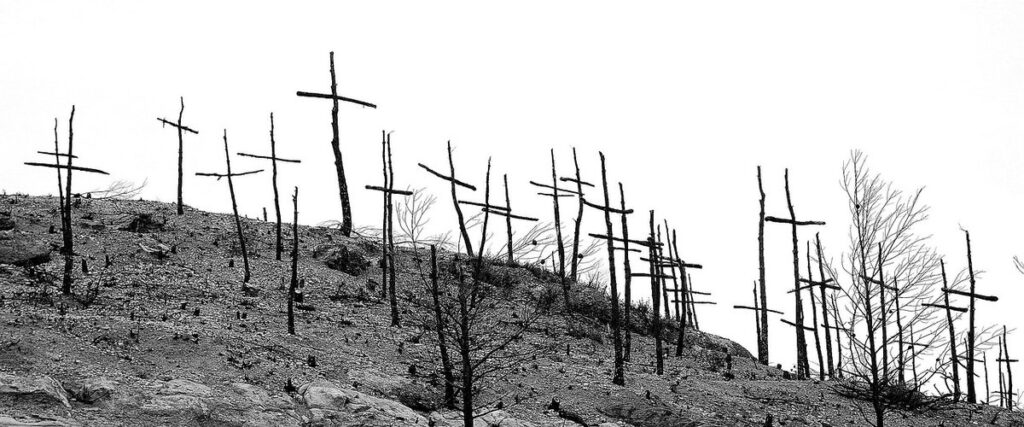 Land degradation