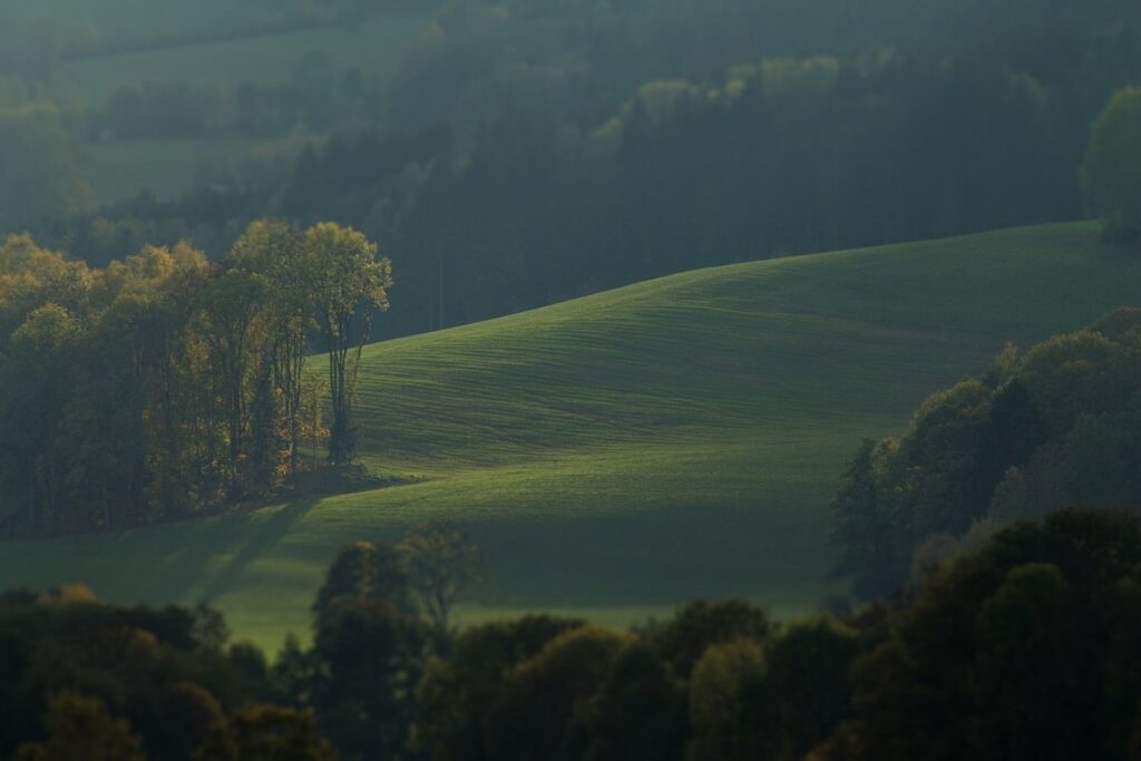 landscape design