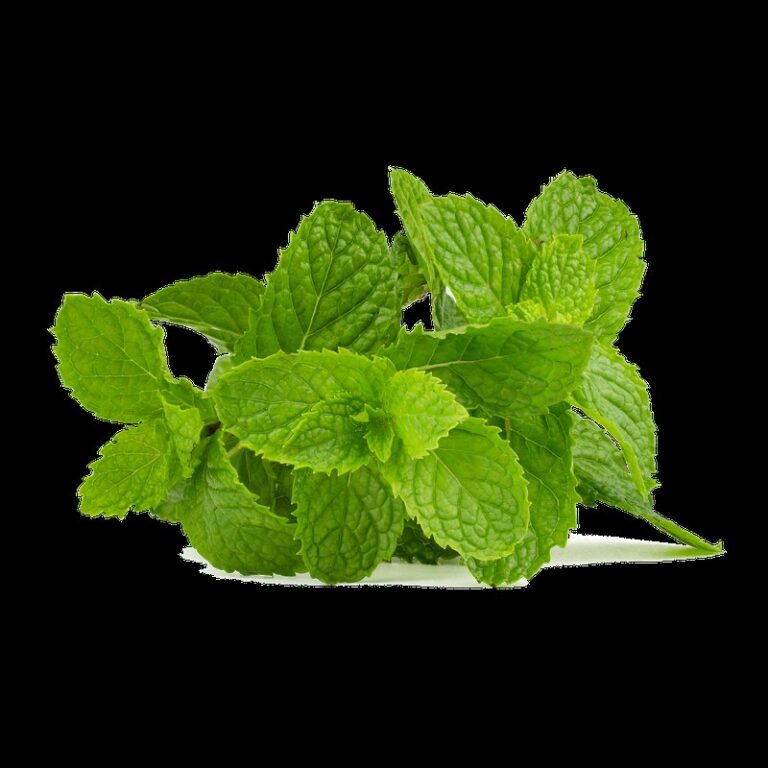 uses for mint leaves