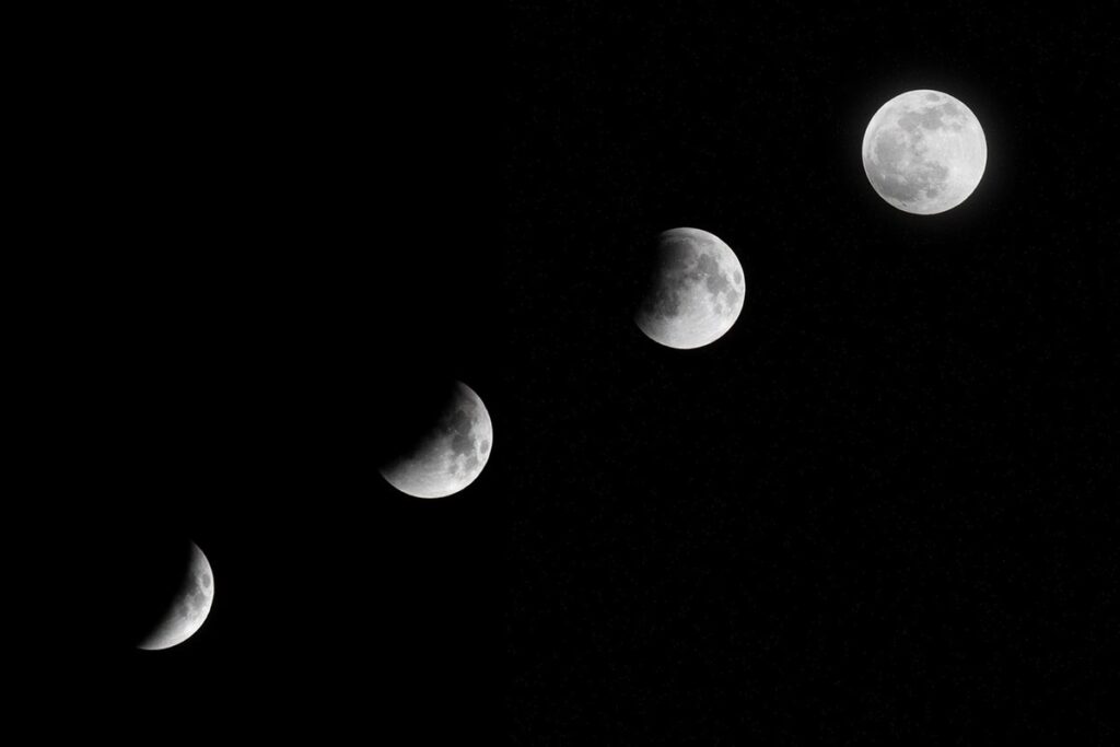 moon gardening