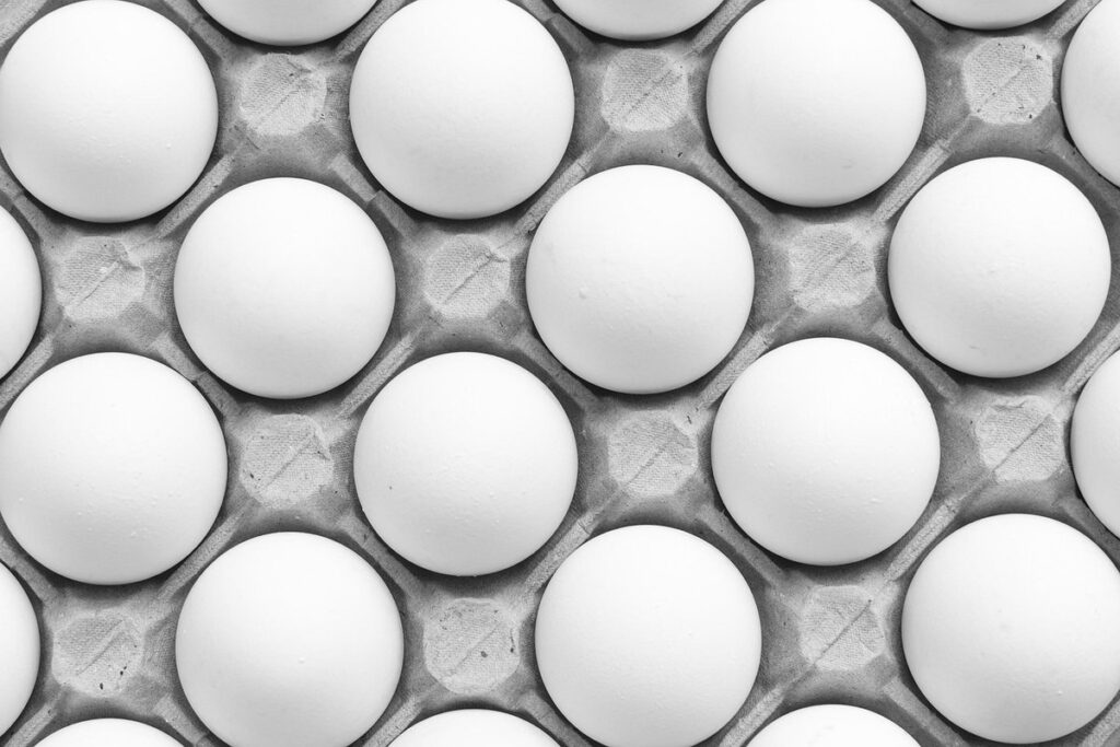 fertile eggs in organic gardening