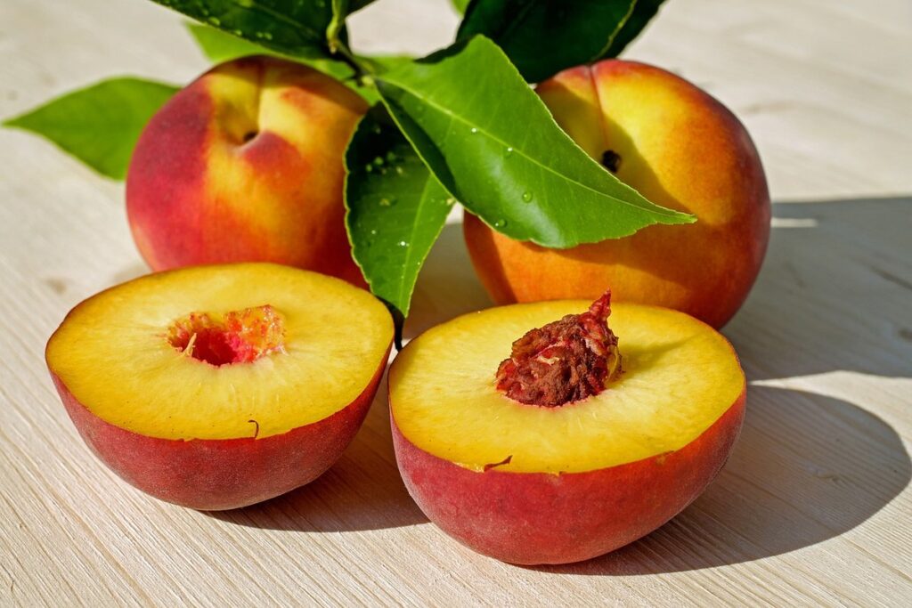 how to grow a peach tree from a peach seed