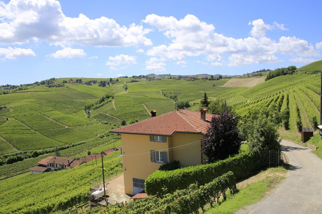 plants of the piedmont region