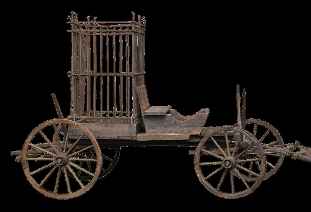 plant cage