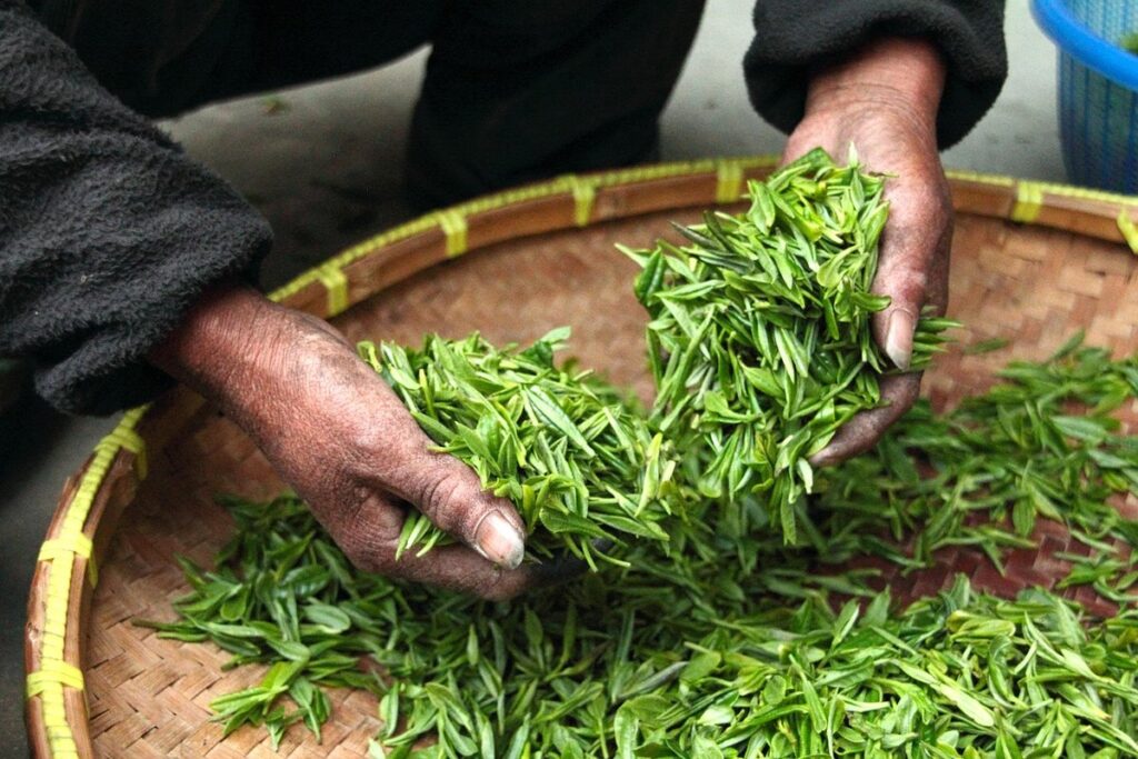 harvest methods for garden plants